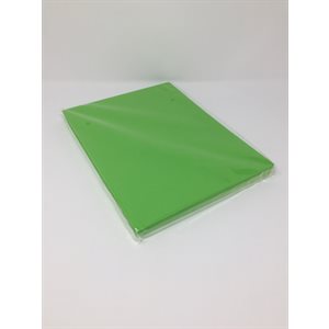 Foam Sheets EMERALD GREEN 9x12 ~PKG 10