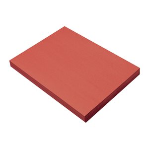 Construction Paper RED 9x12 ~PKG 100