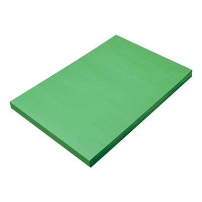 Construction Paper HOLIDAY GREEN 12x18 ~PKG 100