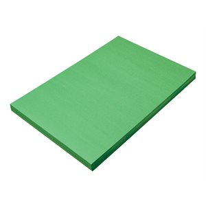 Construction Paper HOLIDAY GREEN 12x18 ~PKG 100