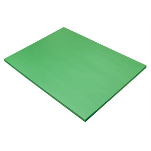 Construction Paper HOLIDAY GREEN 18x24 ~PKG 50