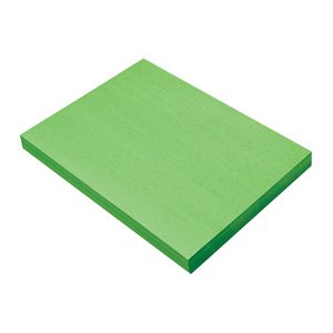 Construction Paper BRIGHT GREEN 9x12 ~PKG 100