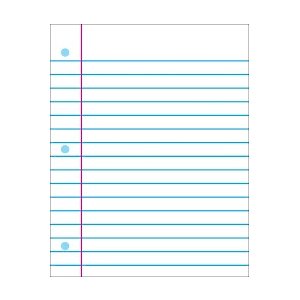 Wipe-Off Chart Notebook Paper ~EACH