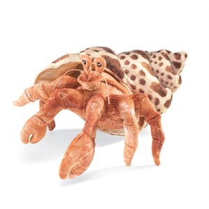 Puppet Hermit Crab ~EACH